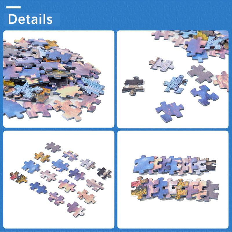 Mini Jigsaw Puzzle 1000 Pieces - Puzzle Map World review and price