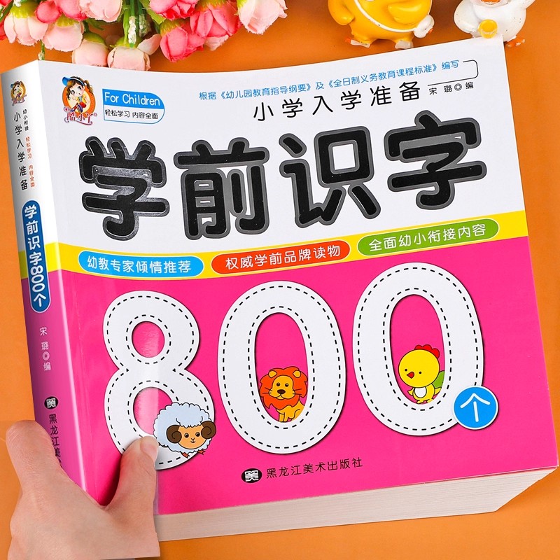 Preschool Literacy: 800 Chines - Kids Education Books review and price