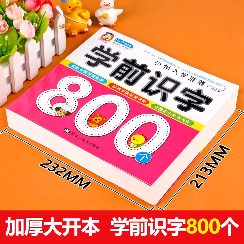 Preschool Literacy: 800 Chines - Kids Education Books review and price
