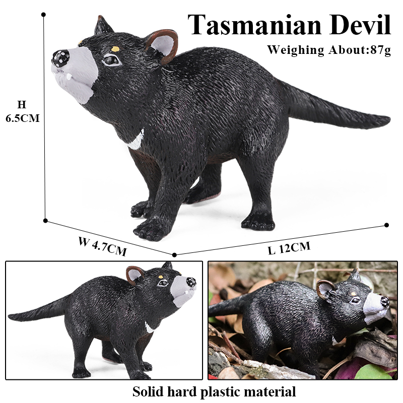 Oenux Classic Australian Wild  - Kangaroo Kids Education review and price