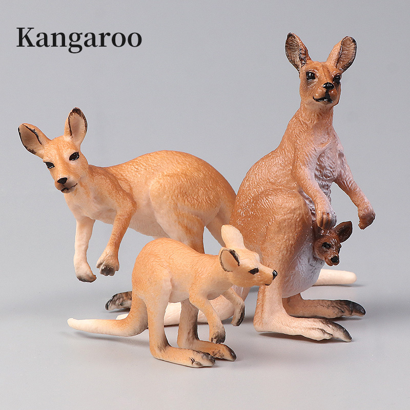 New Wildlife World Kangaroo Se - Kangaroo Kids Education review and price