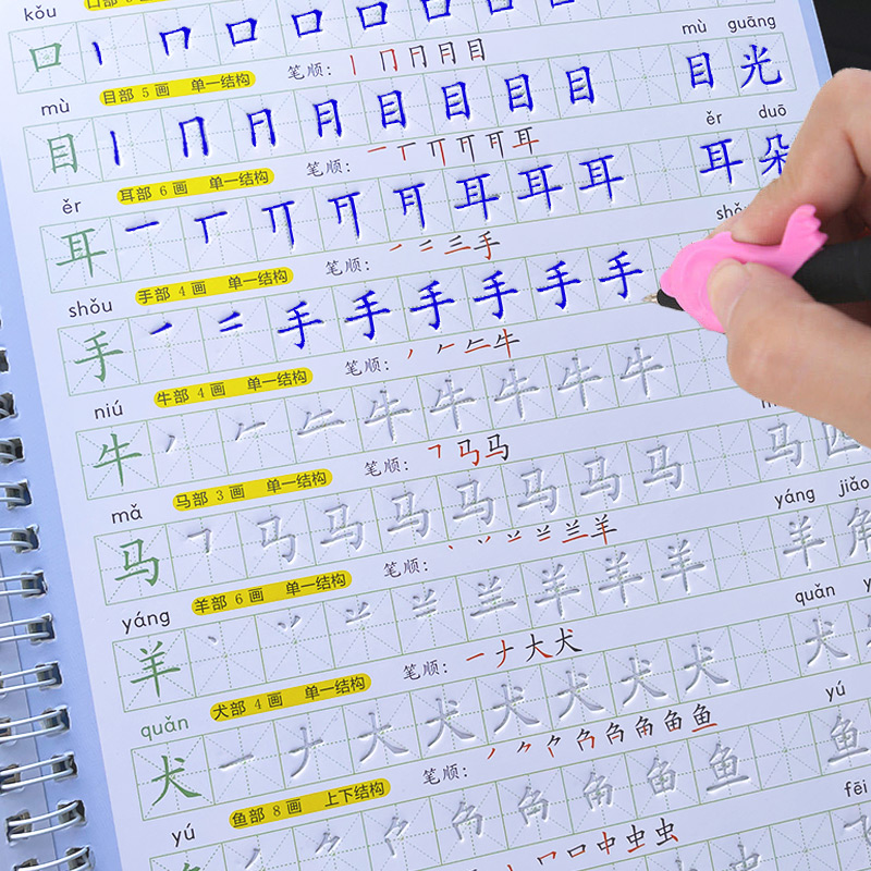 The Copybook Kids Book Learnin - Kids Education Books review and price